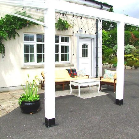 Wonderful Setting Farmhouse Apartment Виклоу Экстерьер фото