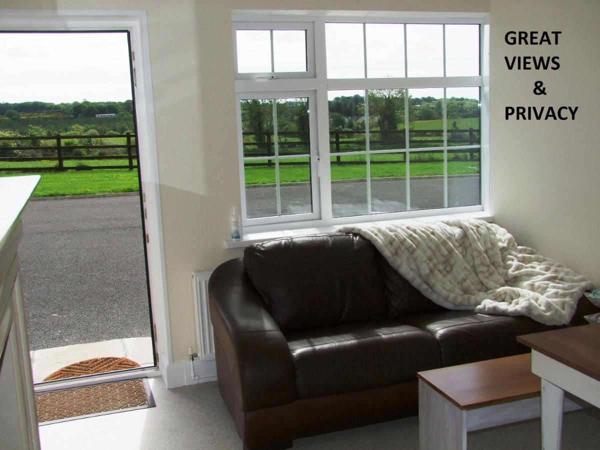 Wonderful Setting Farmhouse Apartment Виклоу Экстерьер фото