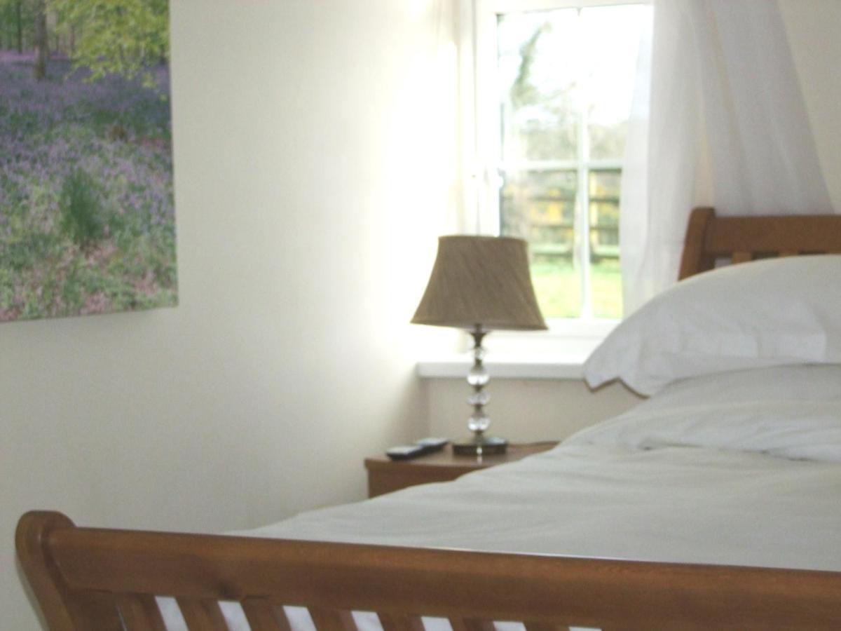 Wonderful Setting Farmhouse Apartment Виклоу Экстерьер фото